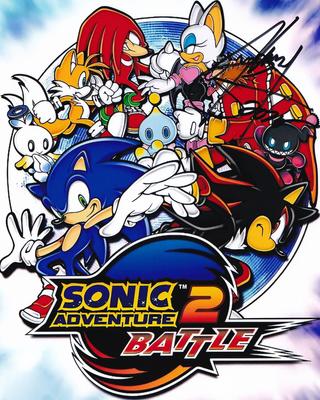 Sonic Adventure 2 Battle | Signed by Sonic | Streamily