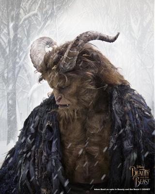 Beauty and the Beast 1 | Signed by Adam Basil | Streamily